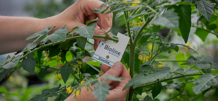 Sale of Bioline AgroSciences by InVivo