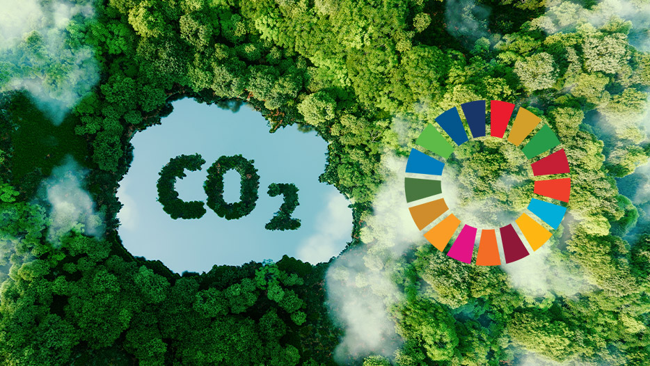 SDG 13 Climate Action: How to be part of the solution