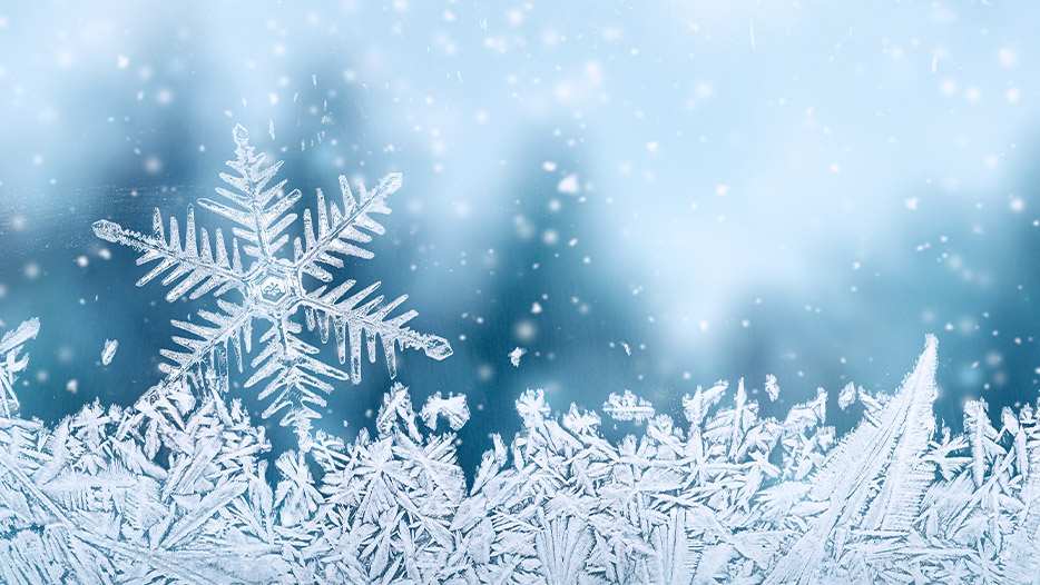 Snowflakes and corporate strategy | Investec